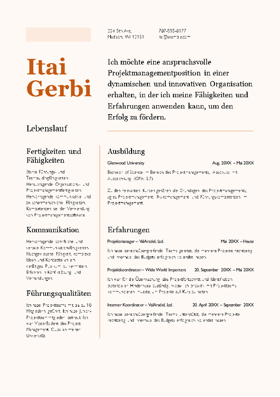 CV – Lebenslauf (Curriculum Vitae) orange modern color block