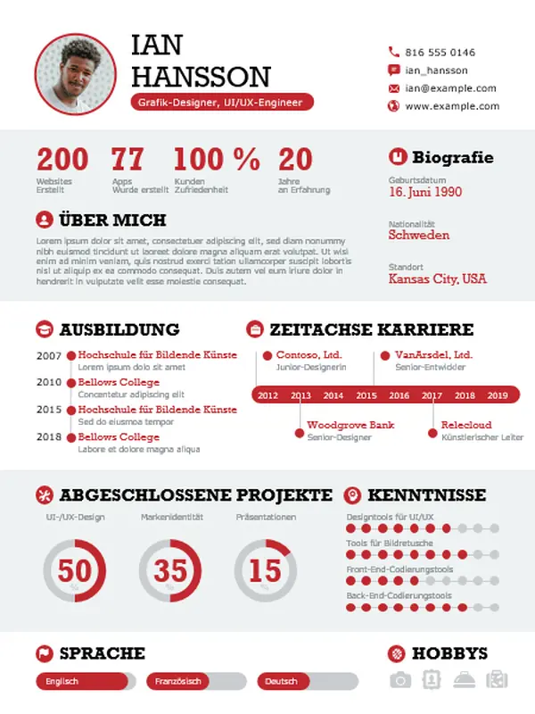 Aussagekräftiger Lebenslauf mit Infografiken modern simple