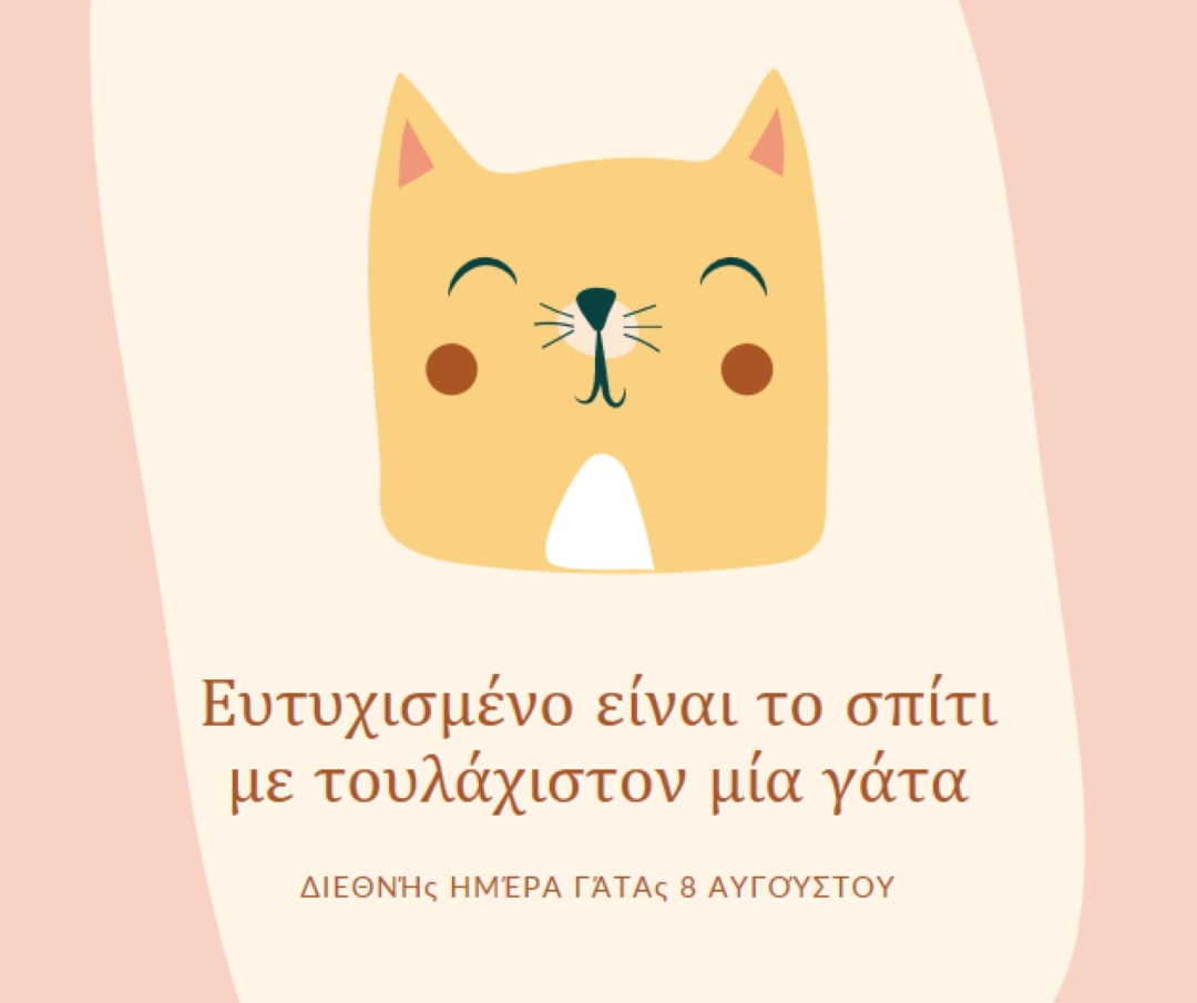 Αιλουροειδές αιλουροειδ pink whimsical-color-block