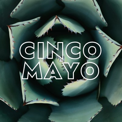 Γιορτάστε το Cinco de Mayo green modern-bold