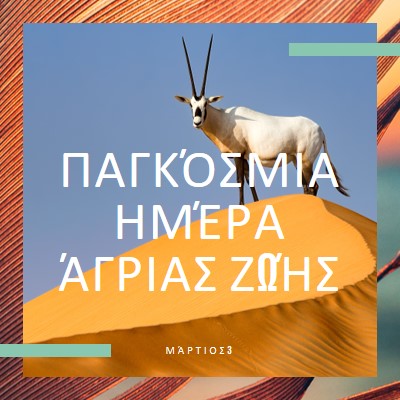 Γιορτάζοντας την άγρια ζωή orange modern-bold