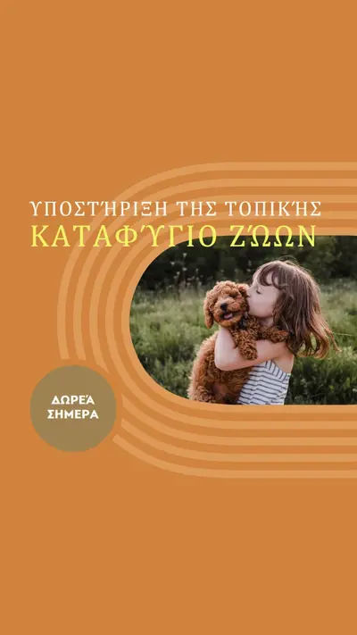 Βοηθός καταφυγίου orange whimsical-color-block