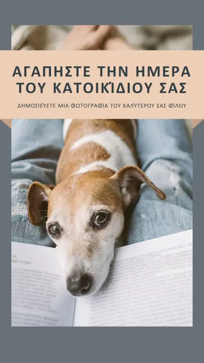 Ο καλύτερός σου φίλος gray modern-simple