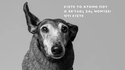 Αγάπη για κουτάβι gray modern-simple