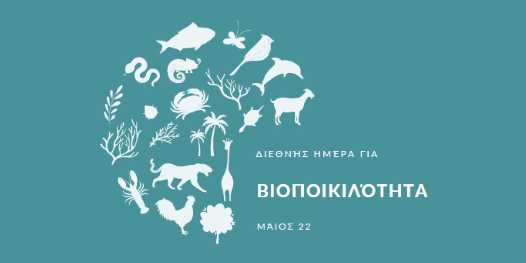 Γιορτάστε την Παγκόσμια Ημέρα Βιοποικιλότητας blue modern-simple