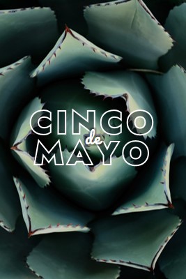 Γιορτάστε το Cinco de Mayo green modern-bold