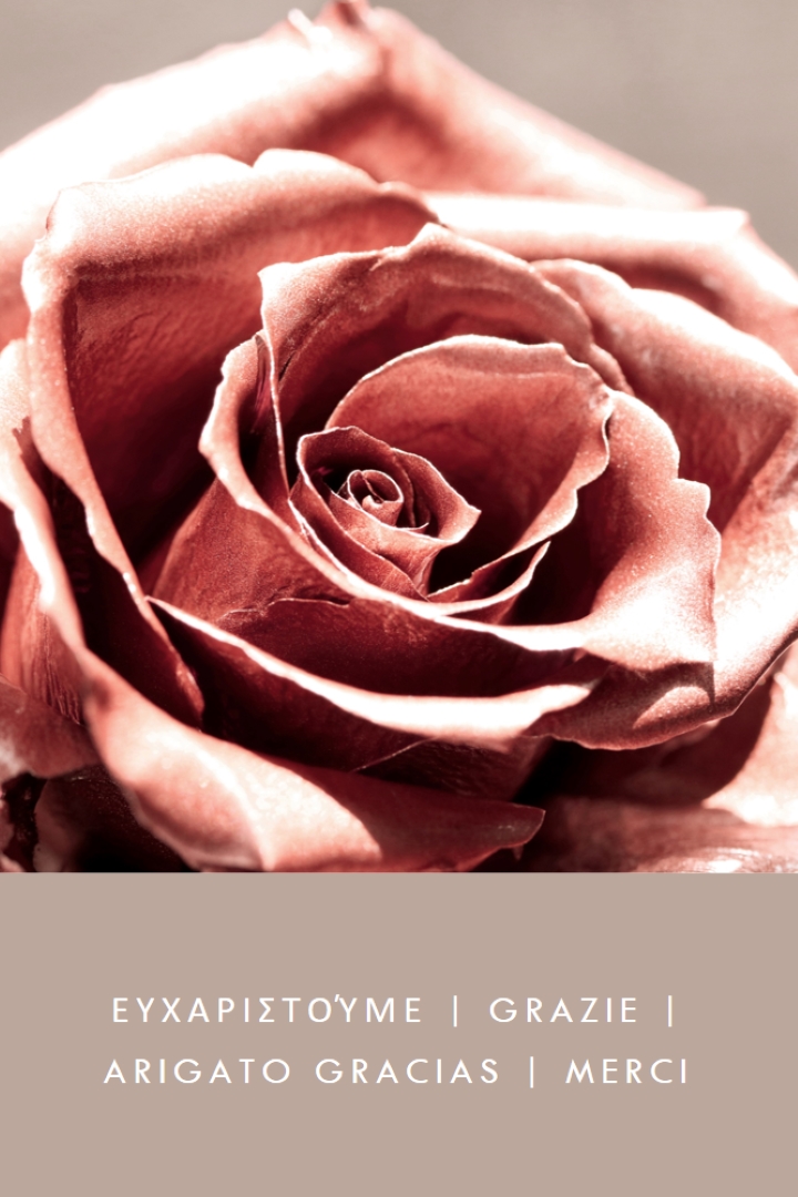 Άνθος καλοσύνης pink modern-simple