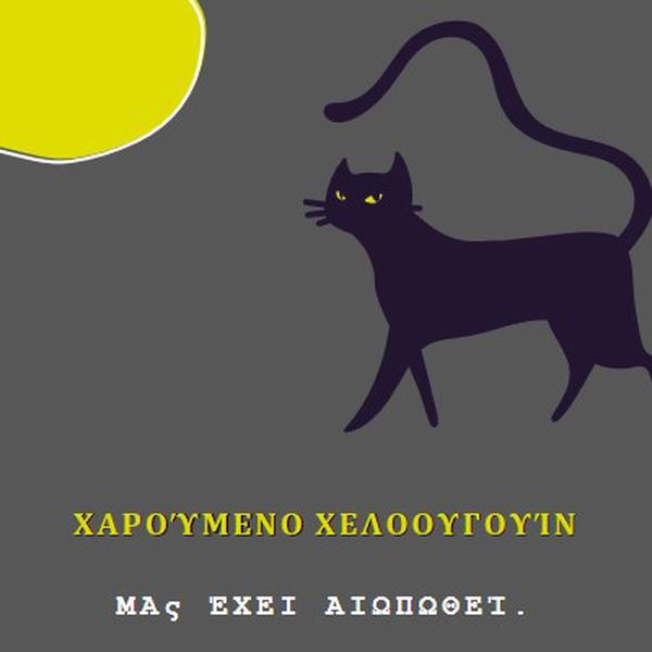 Ανατριχιαστική γάτα black whimsical-color-block