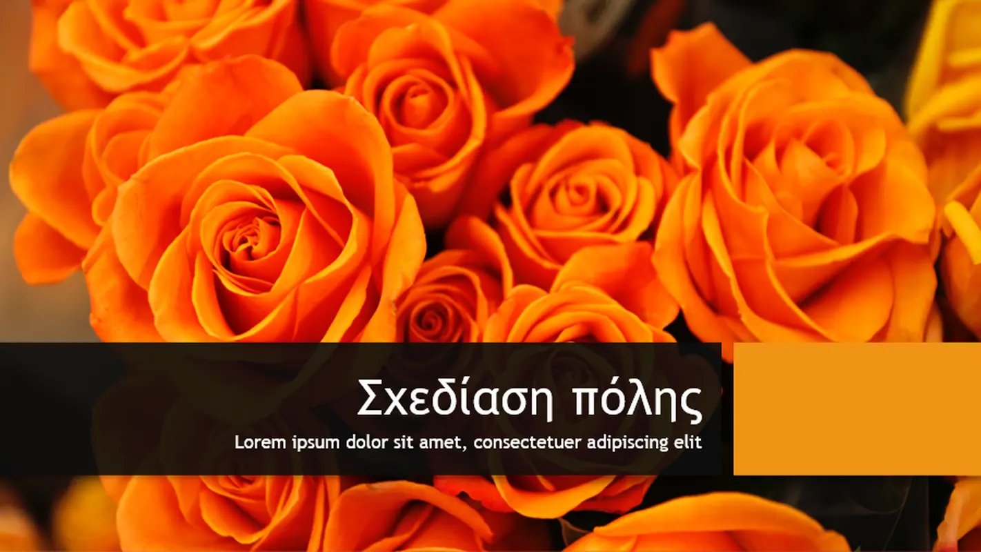 Σχεδίαση πόλης