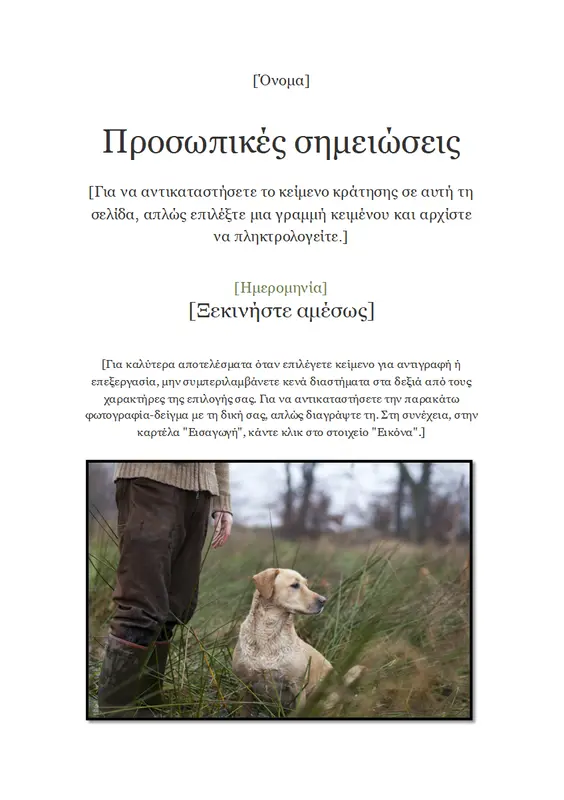 Προσωπικές σημειώσεις