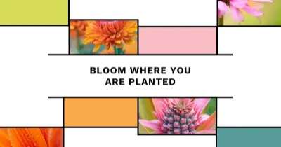 Bloom where you're planted white modern-geo-&-linear