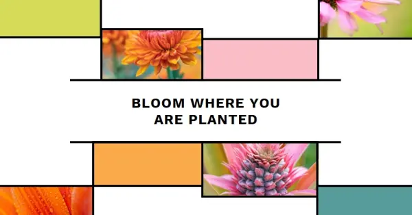 Bloom where you're planted white modern-geo-&-linear