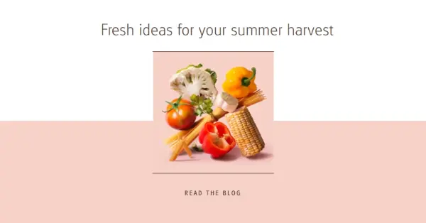 Summer harvest pink modern-simple