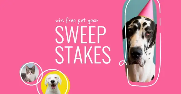 Super sweepstakes pink whimsical-line