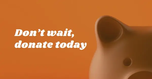 Don't wait, donate orange modern-simple