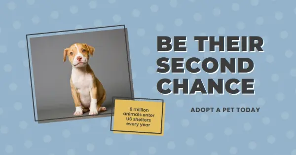 Second chance pup blue modern-bold