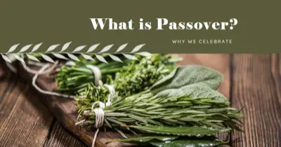 Happy Passover holiday green modern-simple
