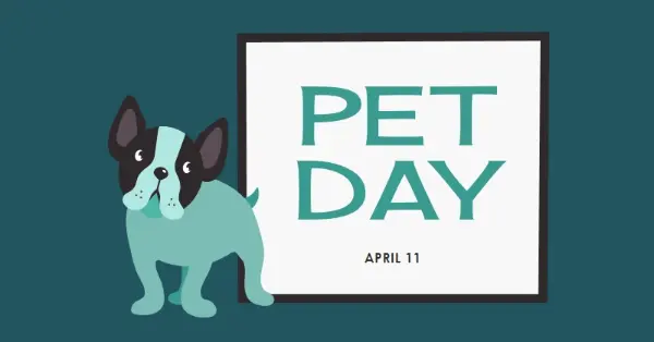 Prepare for Pet Day blue modern-color-block