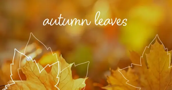 fall backgrounds for facebook