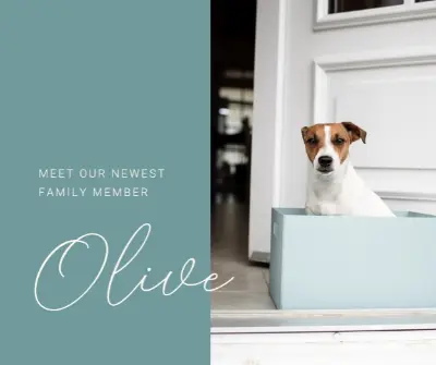 Family dog blue modern-simple