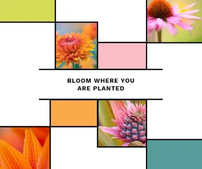 Bloom where you're planted white modern-geo-&-linear