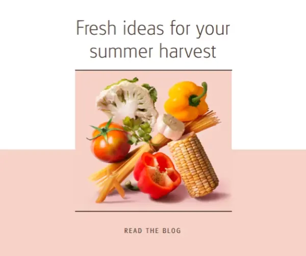 Summer harvest pink modern-simple