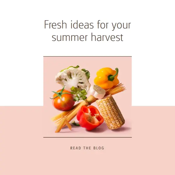 Summer harvest pink modern-simple