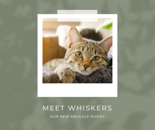 Purr-fect introduction green modern-simple