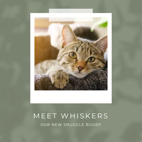 Purr-fect introduction green modern-simple