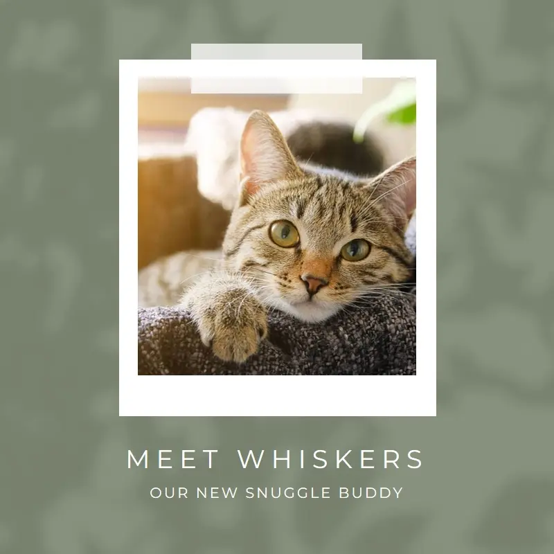 Purr-fect introduction green modern-simple