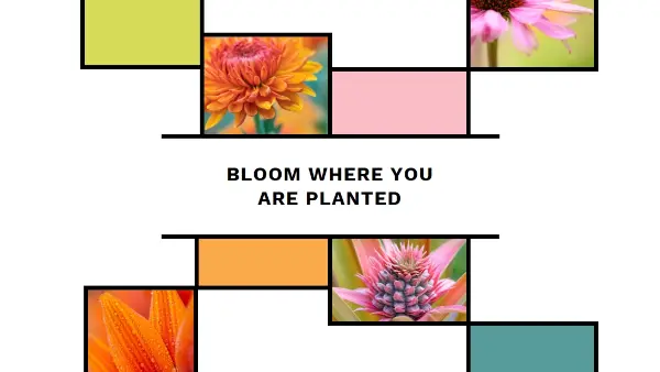 Bloom where you're planted white modern-geo-&-linear