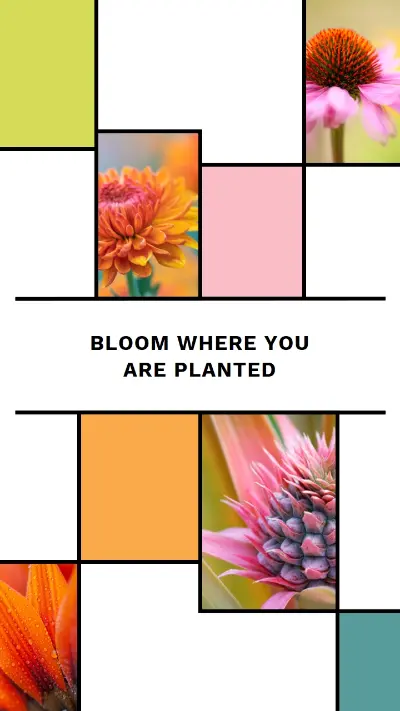 Bloom where you're planted white modern-geo-&-linear