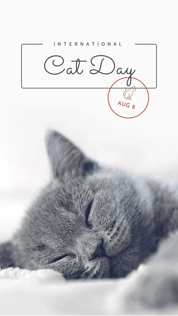 Cat nap gray modern-simple