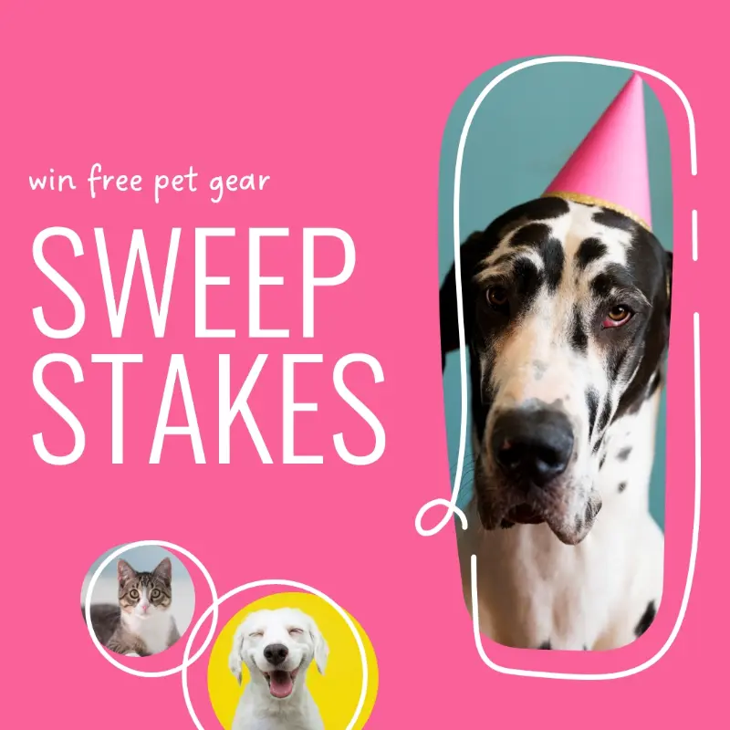 Super sweepstakes pink whimsical-line