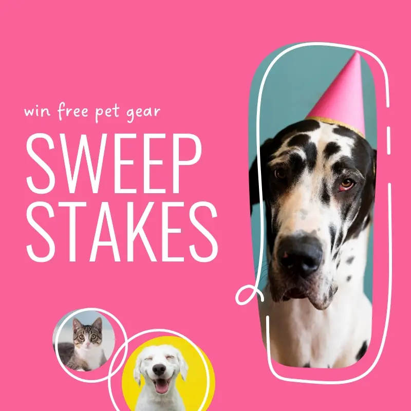 Super sweepstakes pink whimsical-line