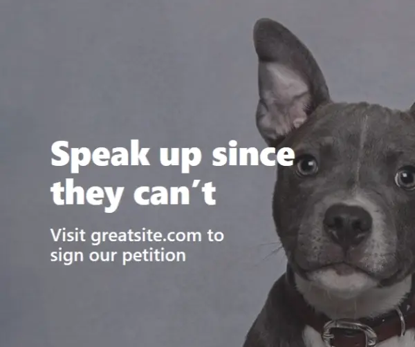 Speak up for animals gray modern-simple