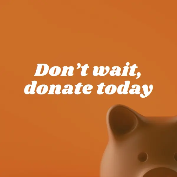 Don't wait, donate orange modern-simple