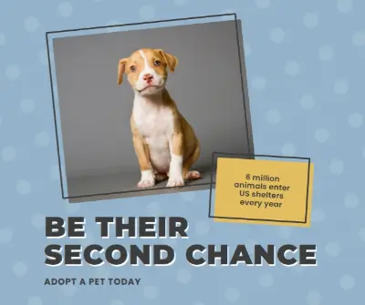 Second chance pup blue modern-bold