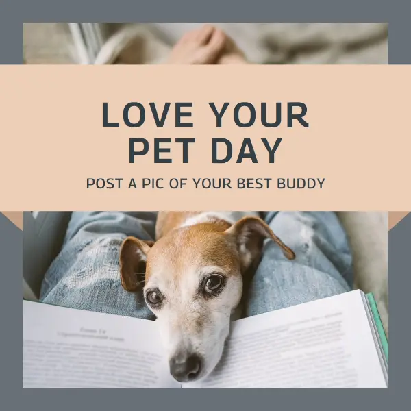 Fur the love of pets gray modern-simple