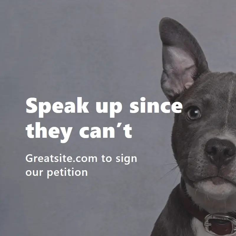 Speak up for animals gray modern-simple