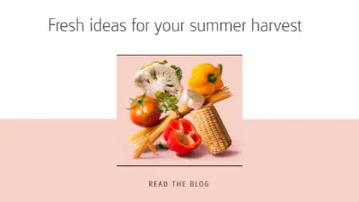 Summer harvest pink modern-simple