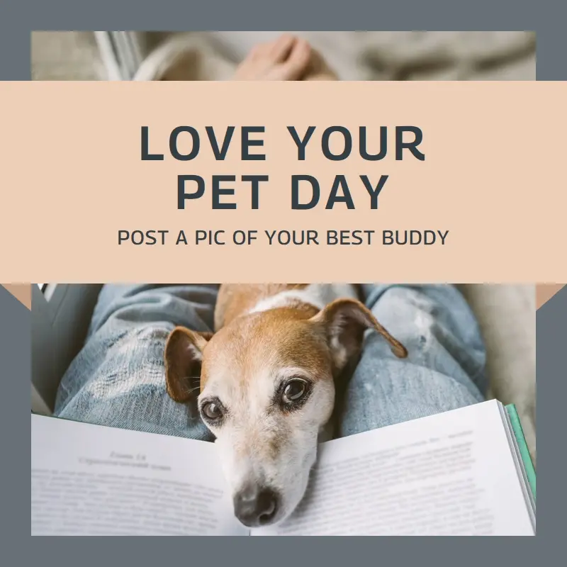 Fur the love of pets gray modern-simple