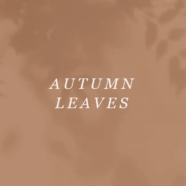 Get to the autumn of it brown modern-simple