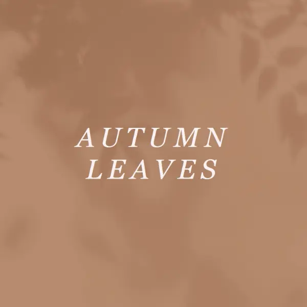 Get to the autumn of it brown modern-simple