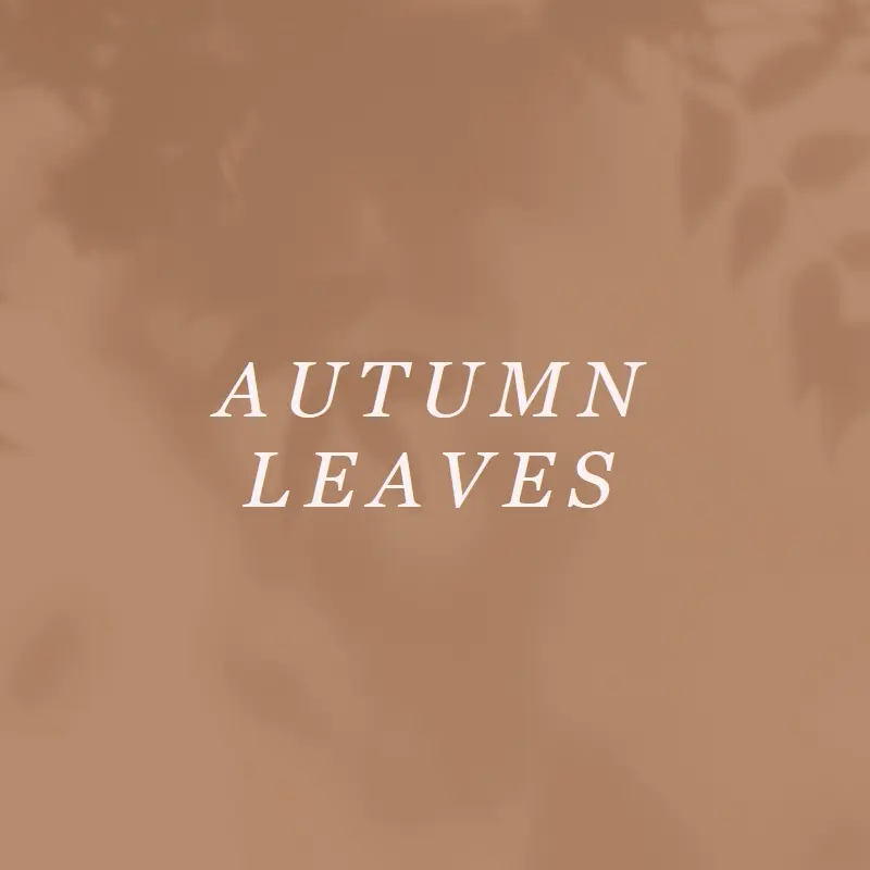 Get to the autumn of it brown modern-simple