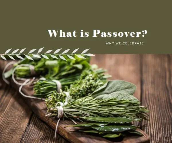 Happy Passover holiday green modern-simple