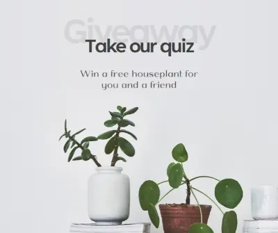 Pot quiz gray modern-simple