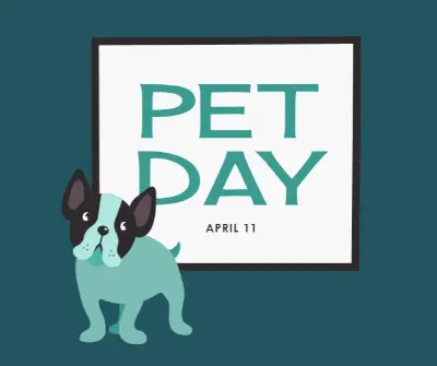 Prepare for Pet Day blue modern-color-block