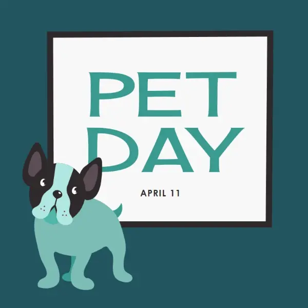 Prepare for Pet Day blue modern-color-block