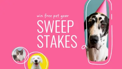 Super sweepstakes pink whimsical-line